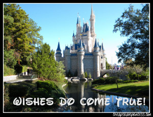 Disney wishes do come true, wish for Disney, wish for Disney World ...
