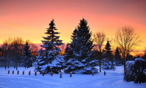 winter sunsets