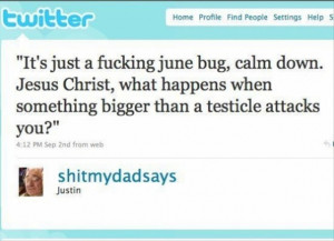 It’s Just A June bug!