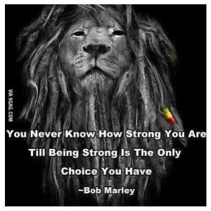 The lion wo quote on rasta colors