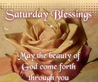 morning quotes bill 2014 11 10 13 32 30 have a great saturday saturday ...