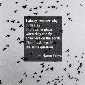 wish you were in my arms tonight…