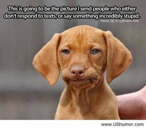 Dog's silly face US Humor - Funny pictures, Quotes, Pics, Photos, I...