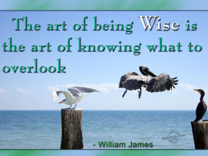 This picture was submitted by Gurinder jeet.