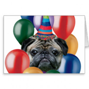 Happy birthday Pug dog Greeting Card