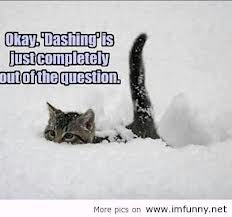 SundaySillies: A little snow day #humor