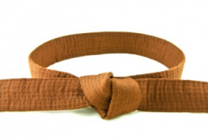 martial arts brown belt.