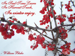 Winter Quotes Graphics, Pictures - Page 2