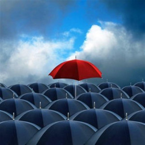 ... How to Stand Out From the Crowd and Bag the Best Career Opportunity