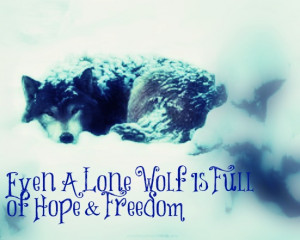 Lone Wolf Quotes Tumblr No comments have been added
