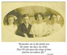 More Genealogy Humor: Funny Quotes & Sayings for Genealogists