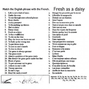 English phrases in French.