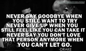 ... Goodbye When You Still Want To Try Never Give Up When You Still Feel