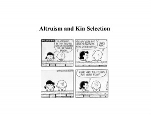 Altruism and Kin Selection by ghkgkyyt