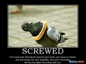 Screwed_funny_picture
