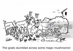 mushrooms cartoons, magic mushrooms cartoon, funny, magic mushrooms ...
