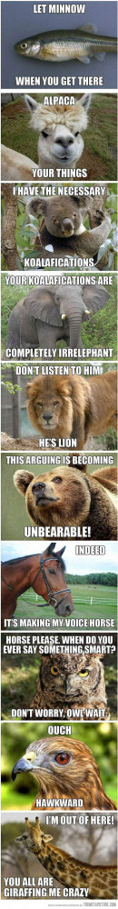 Funny photos funny wild animals puns