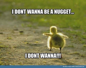 baby chick nugget don't wanna animal funny pics pictures pic picture ...