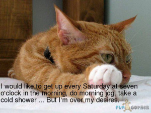 thoughts on “ Feline Friday #19 ”