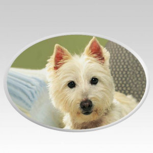 The Pet Cemetery Pictures Horizontal is made of 100% finest porcelain ...