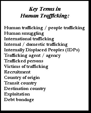 Text Box: Key Terms in Human Trafficking:Human trafficking / people ...