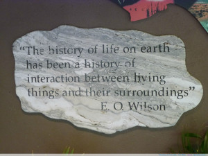 The history of life on earth…” ~E.O. Wilson motivational ...