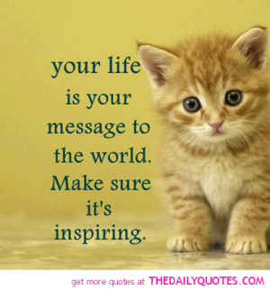 cute cat cute cat love quotes animals quotescute kitten kitty my ...