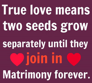: Finding True Love Quotes Love True Romantic Quotes True Love Quotes ...