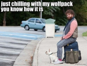 Wolfpack ~For More Funny Images & Quotes, Please Follow Us!~