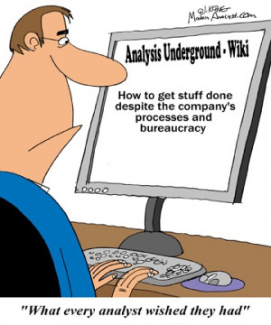 Humor - Cartoon: What every business analyst wished they had