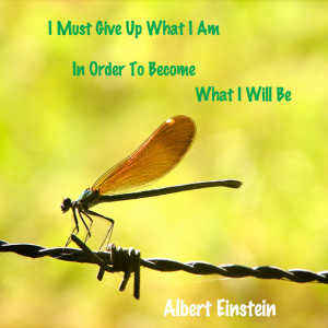 ... am-in-order-to-become-what-i-will-be-albert-einstein-success-quote.jpg