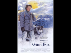 White Fang Quotes