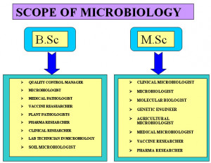 microbiologist microbiologist molecular biologist vaccine researcher