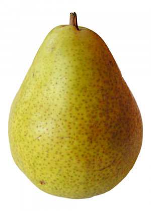Others of us are more like pears: big in the butt.