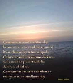 ... life wisdom pema chodron quotes true compass quotes shared human