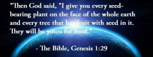 The Bible Genesis 1:29