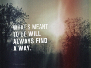 love photography life quotes vintage meaning