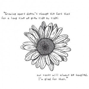 Home About Sitemap Privacy Policy Terms & Conditions Removal Request ...