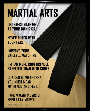 Martial Arts Poster Print