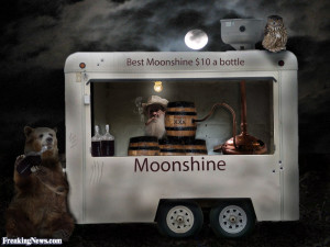 Funny Moonshine Pictures