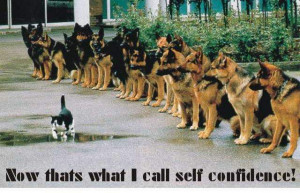 Now that’s what I call self confidence!