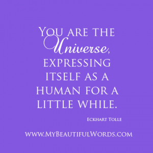 You are the Universe...
