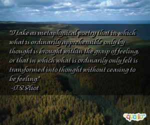 take as metaphysical poetry that in which what is ordinarily ...