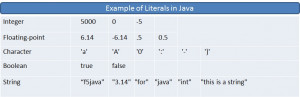 java-tutorial-example-of-literals-in-java.jpg