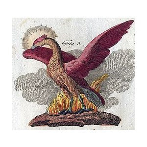 Phoenix Mythology Wikipedia...