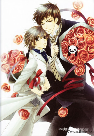 junjou romantica Junjou Romantica Artbook HQ