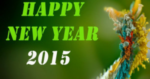 Happy New Year 2015 Whatsapp Cards, Wishes, Greetings (1)