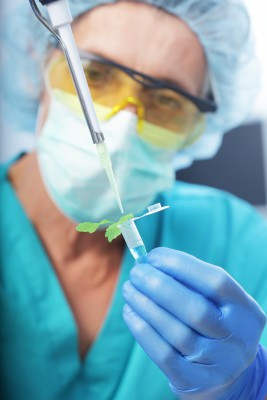 ... Multiple Forms of Hormone-Disrupting Bisphenol Found In US Food Supply