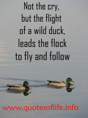 Not-the-cry-but-the-flight-of-a-wild-duck-leads-the-flock-to-fly-and ...