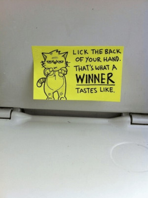 Hilarious Motivational Cat Post It Notes Found on a Train
